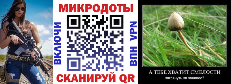 Галлюциногенные грибы GOLDEN TEACHER Заозёрный