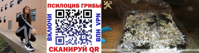 Галлюциногенные грибы MAGIC MUSHROOMS  что такое наркотик  Заозёрный 